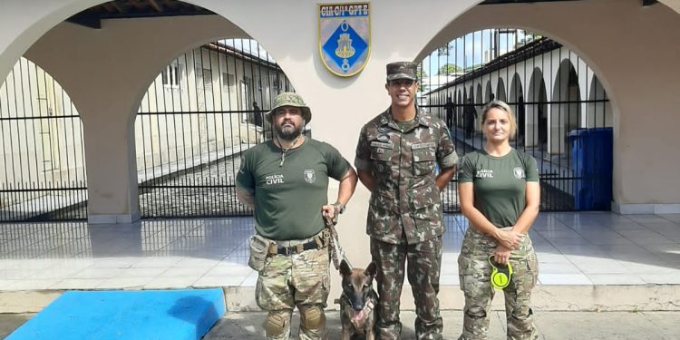 Polícia Civil faz apresentação do Canil em Grupamento de Engenharia do Exército em João Pessoa