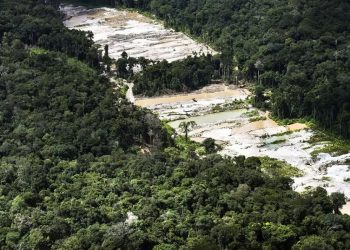 Força-tarefa destrói dez garimpos ilegais na Amazônia