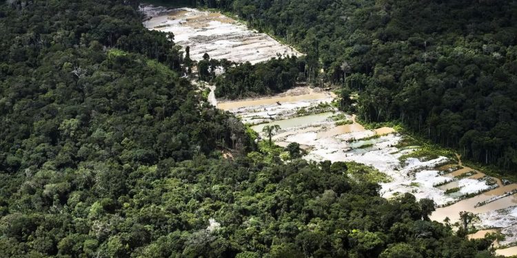 Força-tarefa destrói dez garimpos ilegais na Amazônia