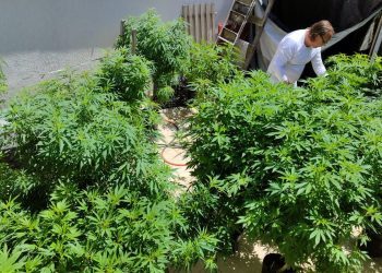 Marcha da Maconha em São Paulo defende não proibição às drogas