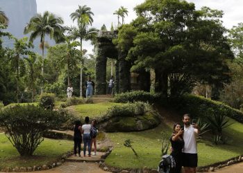 Painel Conserva Flora facilita acesso à flora ameaçada de extinção