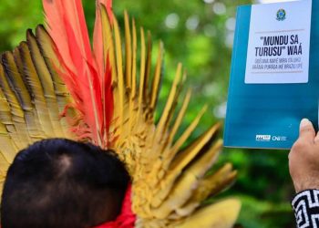 Constituição brasileira é traduzida pela 1ª vez para língua indígena