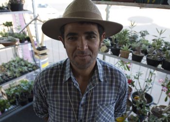 CMN facilita acesso de agricultor familiar a fundo de reforma agrária