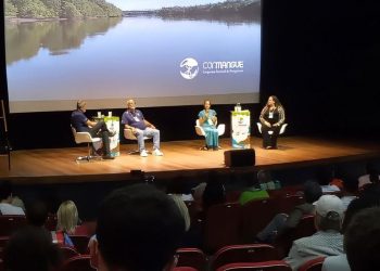 Especialistas em manguezais alertam dos riscos sem preservação do mar