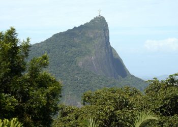 Estudos mostram benefícios das florestas para grandes cidades