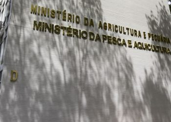 Governo orienta estados a declararem emergência zoossanitária