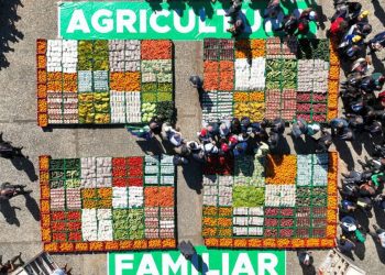 Banco do Brasil vai ofertar R$ 240 bilhões no Plano Safra 2023/2024