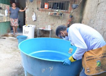 Chuvas aumentam índice de infestação do Aedes aegypti em Campina Grande