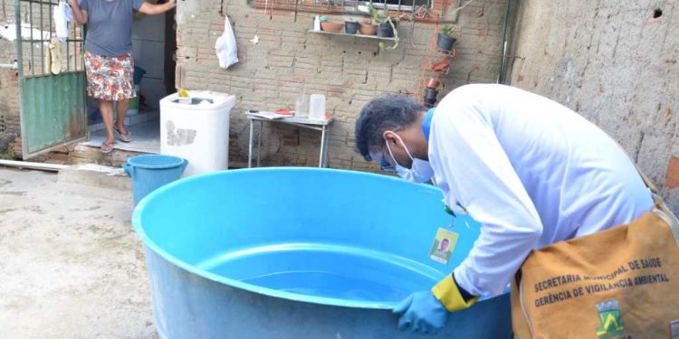 Chuvas aumentam índice de infestação do Aedes aegypti em Campina Grande