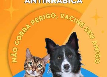 Dia D da Campanha de Vacinação Antirrábica será neste sábado em Monteiro