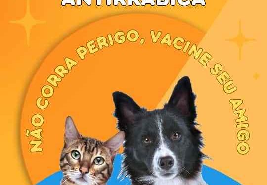 Dia D da Campanha de Vacinação Antirrábica será neste sábado em Monteiro