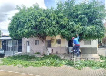 Secretaria de Infraestrutura realiza ações como poda de árvores e patrolamento de ruas