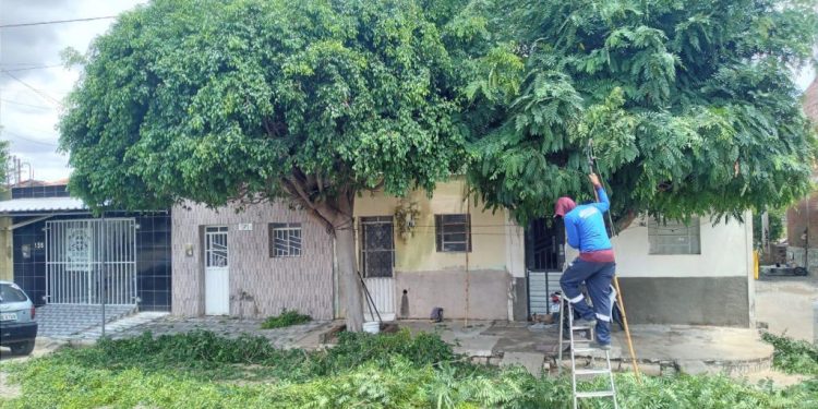 Secretaria de Infraestrutura realiza ações como poda de árvores e patrolamento de ruas