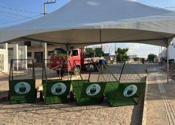 Programa Recicla Monteiro aumenta a limpeza urbana. Confira cronograma de bairros atendidos