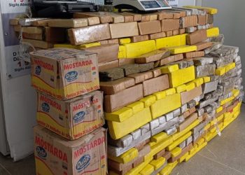 MAIS DE 1 TONELADA: Com apreensão da DRACO, Polícia Civil passa de mil quilos de drogas apreendidos nos últimos cinco meses
