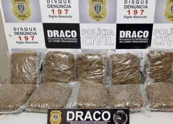 PCPB NO CARNAVAL: Em 72 horas, já são quase 100 quilos de drogas apreendidas, entre cocaína e maconha