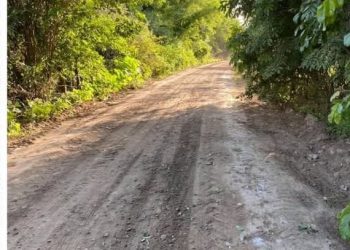Secretaria de Agricultura e Meio Ambiente inicia semana com ações de recuperação de estradas