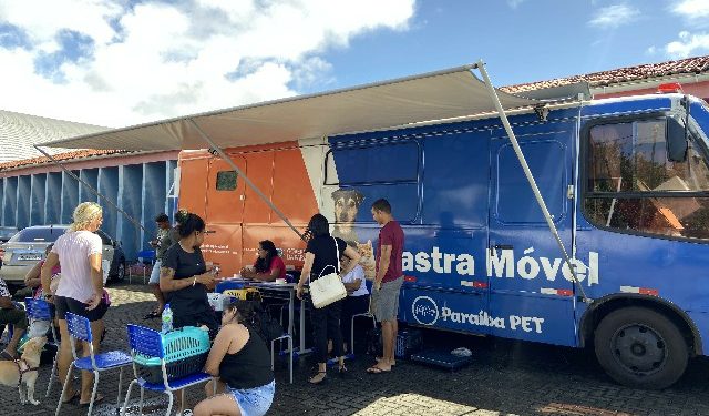 Paraíba Pet realiza mais de 2 mil castrações no estado em menos de um ano