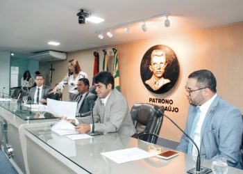 Câmara debate projetos em defesa do direito de escolha da gestante