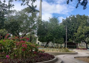Campina Grande é destaque em arborização urbana, conforme dados divulgados pelo IBGE