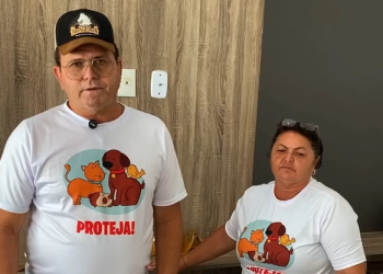 Prefeitura de Sumé intensifica ações de proteção animal com castrações e conscientização