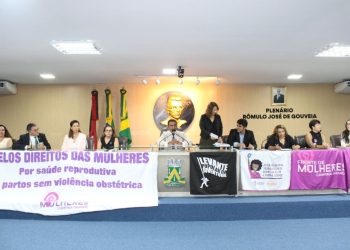 Prefeitura apresenta ações da assistência à saúde da mulher e materno-infantil em audiência pública da Câmara Municipal