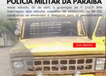 POLÍCIA MILITAR INTERCEPTA VEÍCULOS SUSPEITOS DE ESTELIONATO NA BR-230.