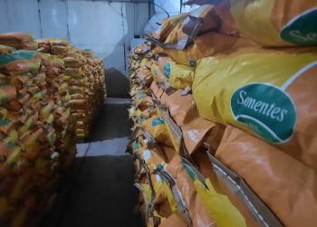 Governo da Paraíba distribui 530 toneladas de sementes em toda a Paraíba