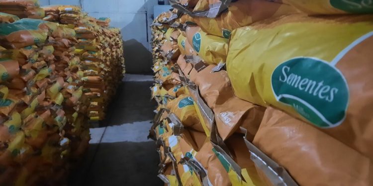 Governo da Paraíba distribui 530 toneladas de sementes em toda a Paraíba