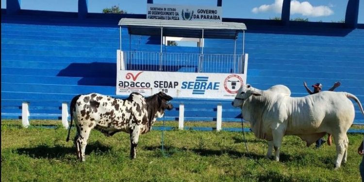 João Azevêdo abre 55ª Expapi em Campina Grande neste domingo e evento deve reunir 200 mil pessoas