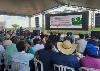 Governo da Paraíba anuncia medidas para amenizar impactos da estiagem no estado
