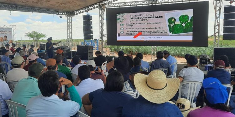 Governo da Paraíba anuncia medidas para amenizar impactos da estiagem no estado