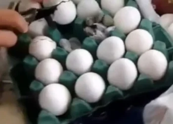 Maconha é apreendida dentro de ovos no Presídio de Igarassu-PE