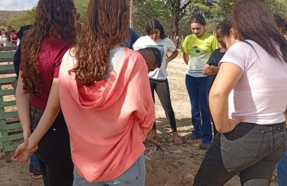 Prefeitura de Sumé realiza plantio de mudas de árvores nas escolas promovendo a consciência ambiental com os estudantes Prefeitura de Sumé realiza plantio de mudas de árvores nas escolas promovendo a consciência ambiental com os estudantes