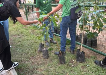 Plantando Esperança: ação distribui mudas de plantas n’O Maior São João do Mundo