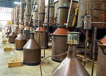 Empreender Rural disponibiliza linha de crédito para Engenhos de Cachaça na Feira do Empreendedor de Campina Grande