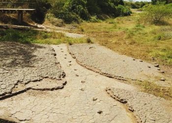 Sousa ganha destaque na mídia nacional como o “Vale dos Dinossauros” brasileiro