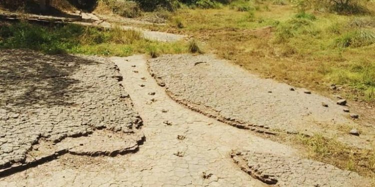 Sousa ganha destaque na mídia nacional como o “Vale dos Dinossauros” brasileiro