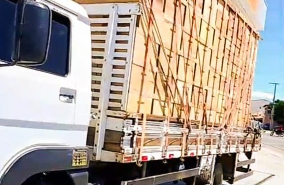 Serra Branca: apicultores recebem 222 colmeias através de Dr. Romualdo