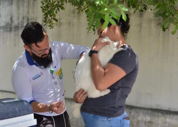 Campina Grande realiza Dia D de Vacinação Antirrábica no próximo sábado