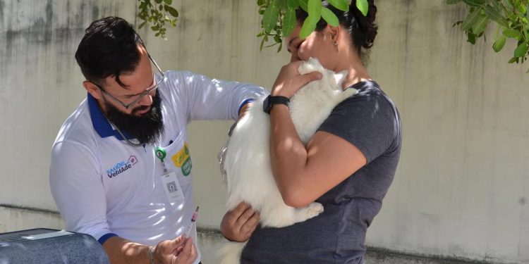 Campina Grande realiza Dia D de Vacinação Antirrábica no próximo sábado