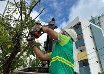 Mais de 900 podas realizadas em agosto reforçam cuidado da Sesuma com segurança e bem-estar da população