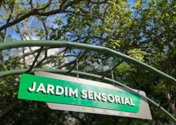 Setembro Verde: Parque Evaldo Cruz recebe programação especial em homenagem à Primavera e ao Dia da Árvore