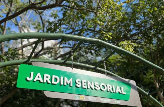 Setembro Verde: Parque Evaldo Cruz recebe programação especial em homenagem à Primavera e ao Dia da Árvore