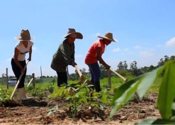 Prefeitura lança projeto de valorização das mulheres da zona rural de Campina Grande