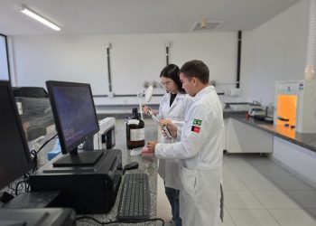Pesquisadores da Paraíba desenvolvem tecnologia de ponta para detecção de bebidas adulteradas com metanol