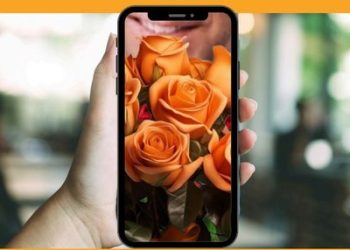 Projeto da UFPB lança cartilha “Quem vê tela não vê intenção” com apoio do MPF, MPT, MPPB, MPC, TJPB e Reamcav