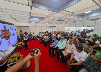 Cultura do abacaxi é tema de exposição e seminário em Itapororoca