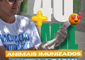 Dezembro Verde: CCZ de Campina Grande lança campanha intensiva contra o abandono de animais