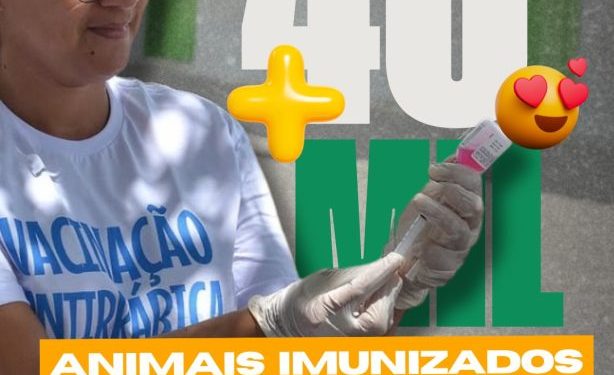 Dezembro Verde: CCZ de Campina Grande lança campanha intensiva contra o abandono de animais